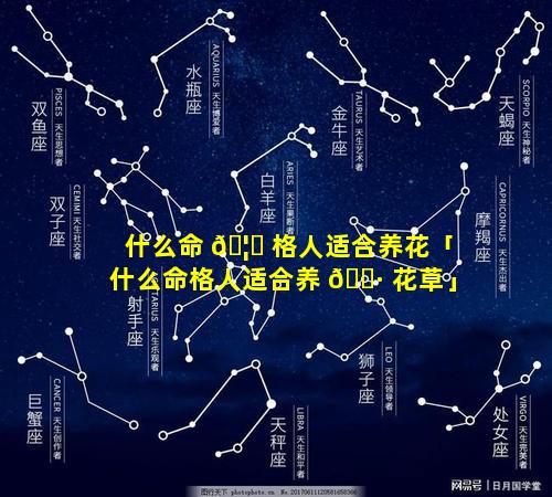 什么命 🦈 格人适合养花「什么命格人适合养 🌷 花草」